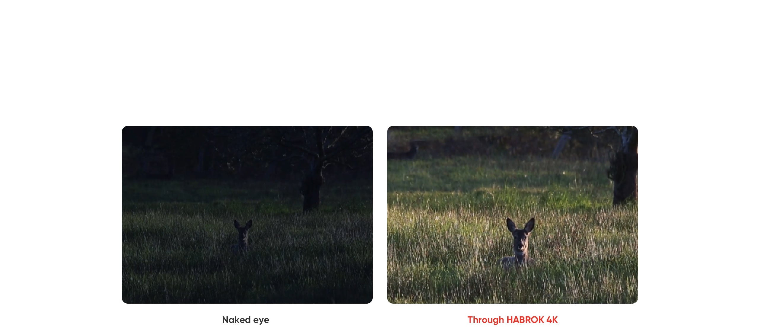 HIKMICRO Habrok 4K HE25LN Multi-Spectrum Binocular Twilight Image