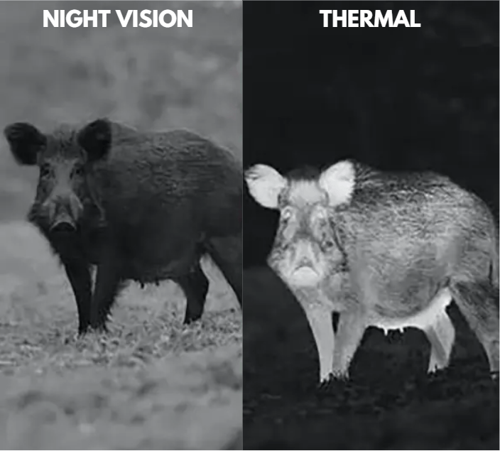 Night Vision vs Thermal Imaging - What's the Difference?
