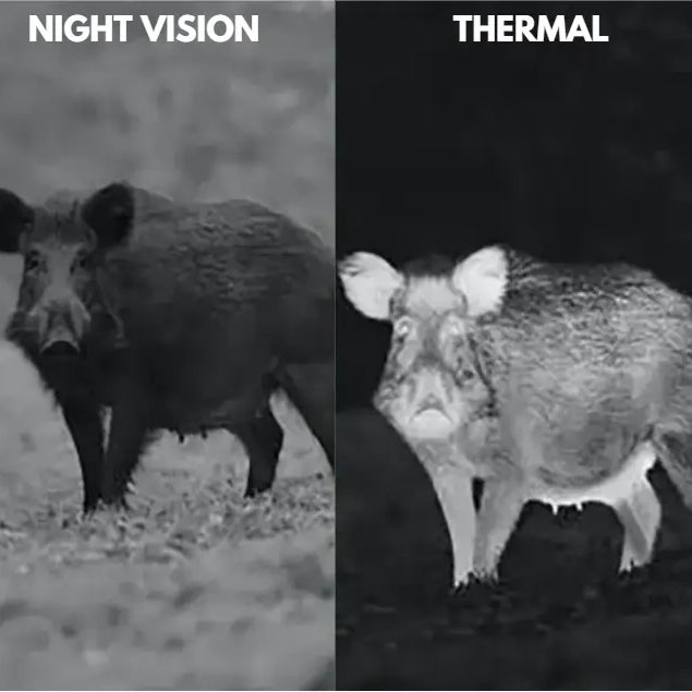 Night Vision vs Thermal Imaging 