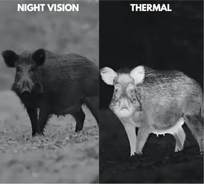 Night Vision vs Thermal Imaging 