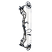 Bear Archery Persist 33 Mossy Oak Bottomland
