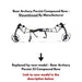 Bear Archery Persist Compound Bow Front View