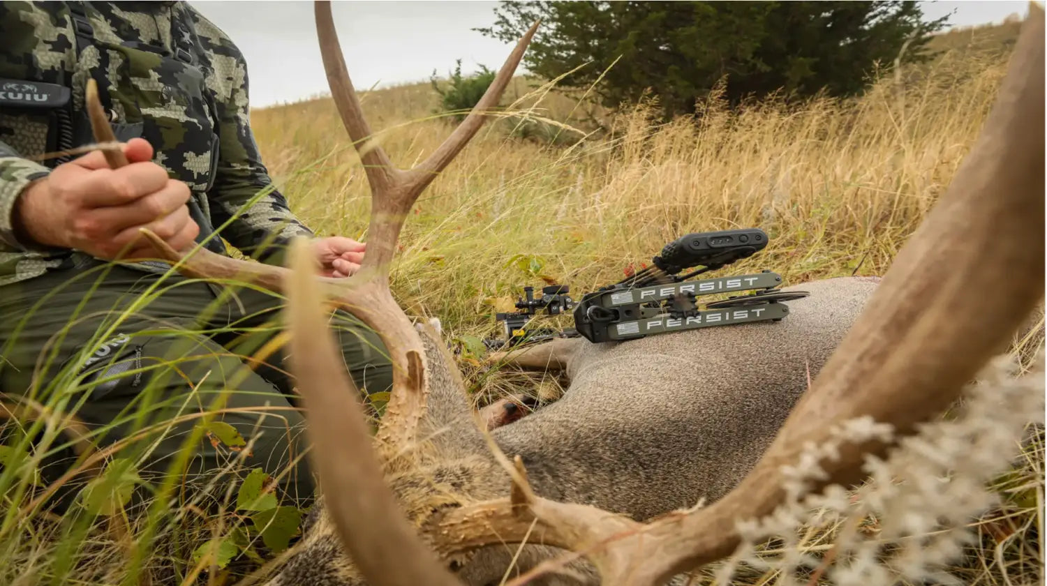 Bear Persist Deer Hunt