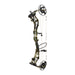 Bear Redeem Compound Bow