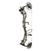 Bear Redeem Compound Bow