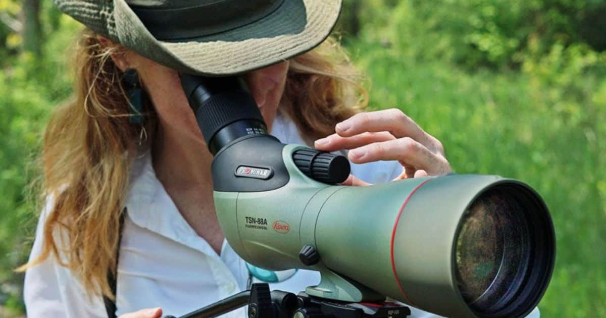 Birding Enthusiast looking through spotting scope