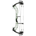 Bowtech Ascend Compound Bow Forest