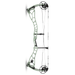 Bowtech Proven 34 Compound Bow Forest