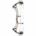 Bowtech Virtue Compound Bow Tac Stone