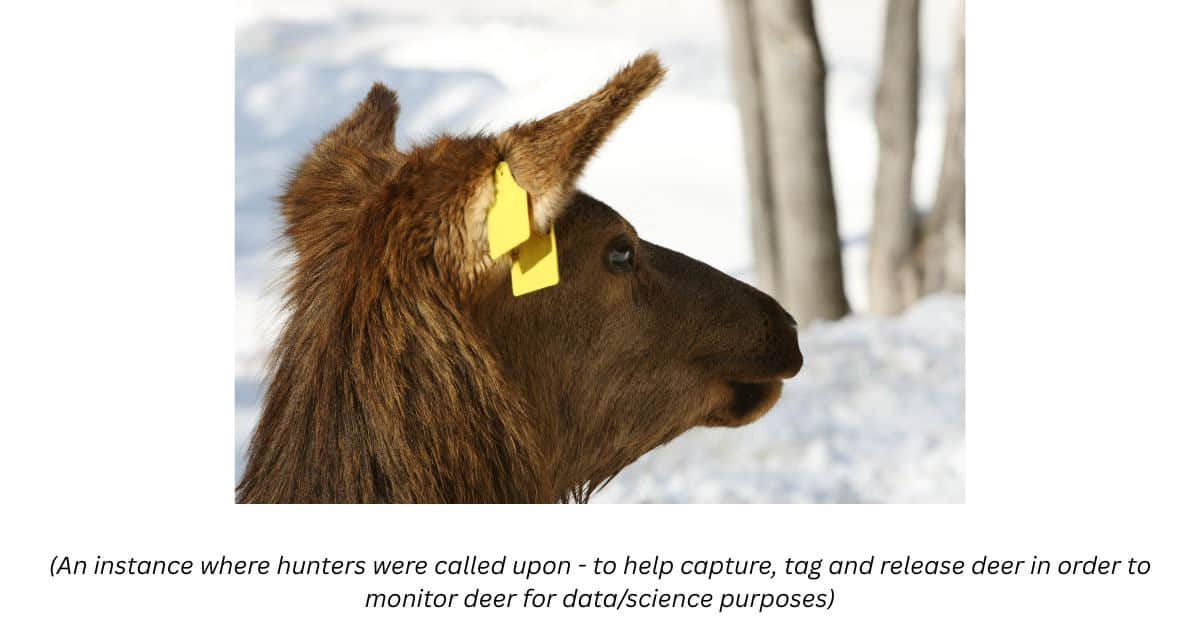 How Do Hunters Support Wildlife Conservation?