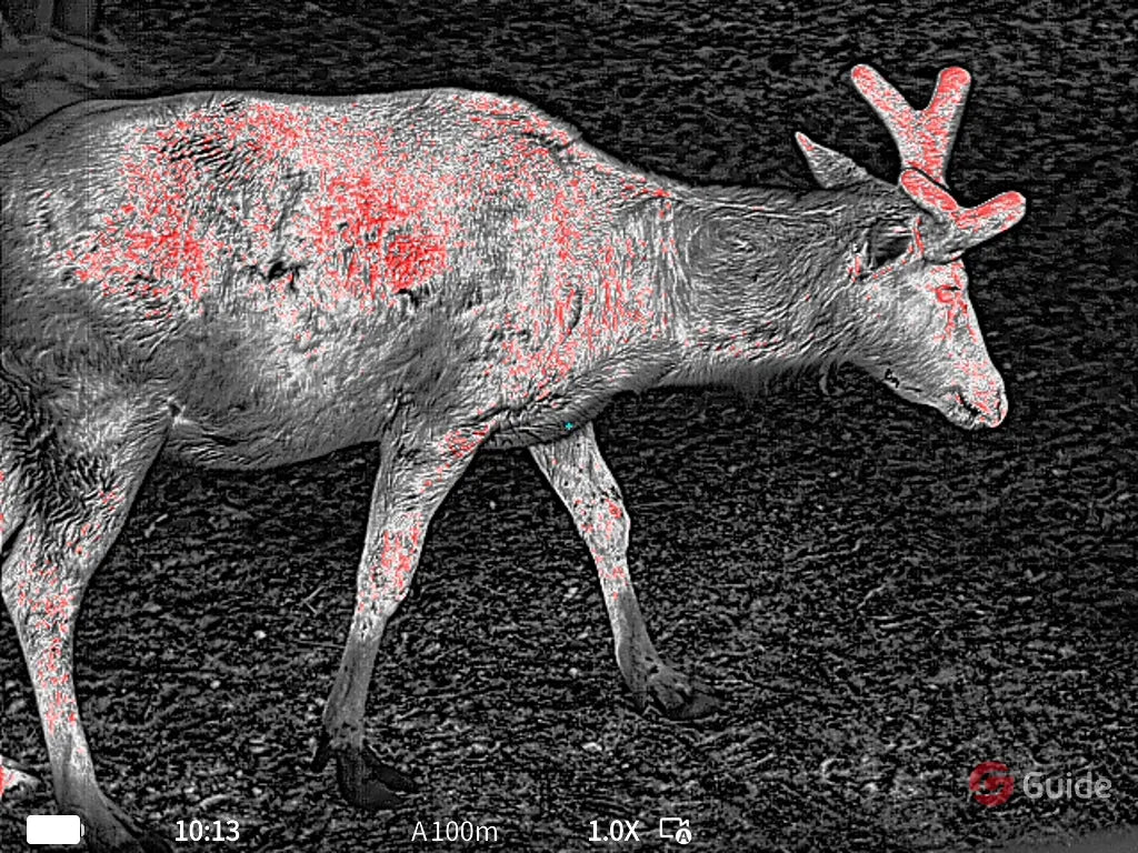 Guide TE425S Thermal Monocular Feature 3