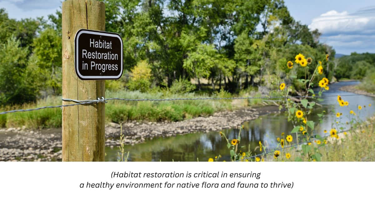 Habitat Restoration in Progress