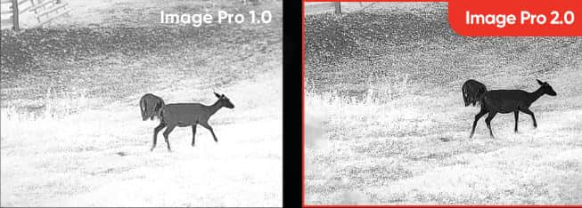 Hikmicro Image Pro 1.0 and Image Pro 2.0 Comparison