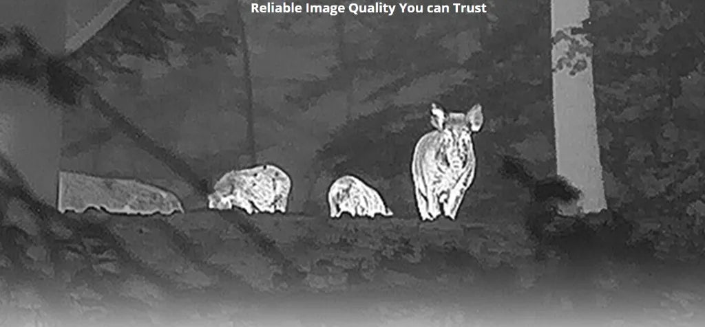 Hikmicro Neos NH25L Thermal Scope Image Quality