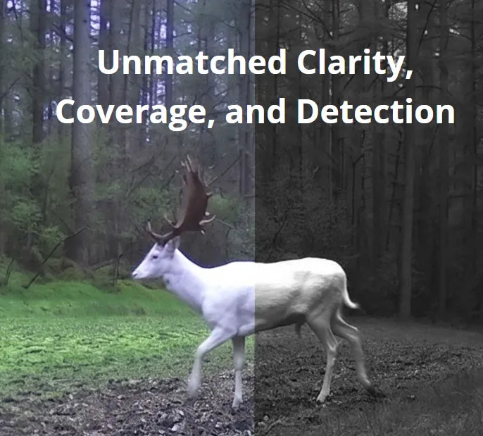 Hikmicro T16 Trail Cam Feature