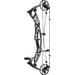 Hoyt Alpha AX-2 29 Compound BowTombstone