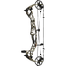 Hoyt Alpha AX-2 29 Compound Bow Gore Optifade Subalpine