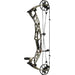 Hoyt Alpha AX-2 29 Compound Bow Gore Optifade Subalpine