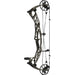 Hoyt Alpha AX-2 29 Compound Bow Mossy Oak Bottomland