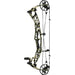 Hoyt Alpha AX-2 29 Compound Bow Origin Raptor Highland