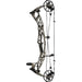 Hoyt Alpha AX-2 29 Compound Bow Realtree APX