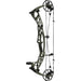 Hoyt Alpha AX-2 29 Compound Bow Wilderness