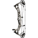 Hoyt Alpha AX-2 32 Compound Bow Realtree APX