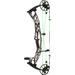 Hoyt Alpha AX-2 32 Compound Bow Realtree APX Bone Collector