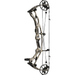 Hoyt RX-9 Compound Bow Realtree APX