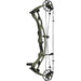 Hoyt RX-9 Ultra Compound Bow Wilderness