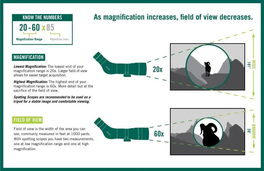 Impacts on Field of View as Magnification Changes