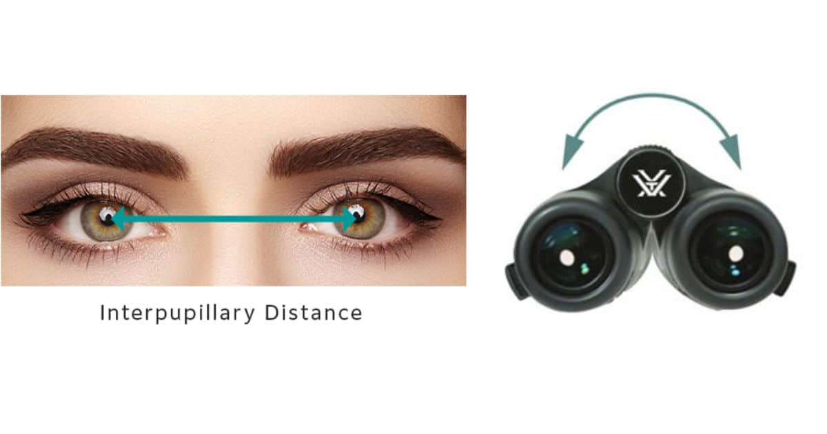 Interpupillary Distance for Binoculars Explained with Diagram