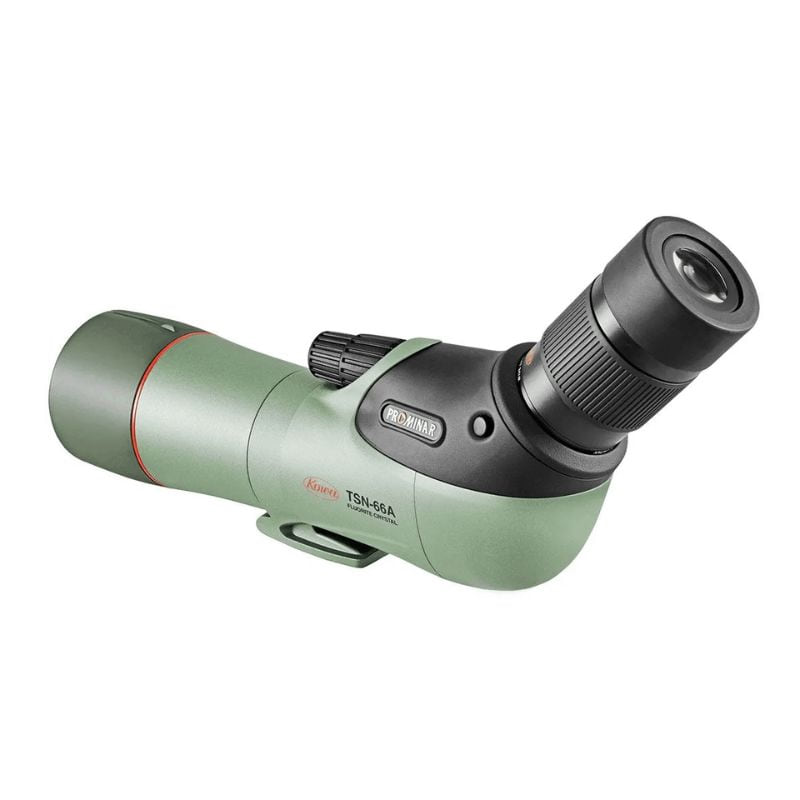 Kowa TSN-66 angled spotting scope