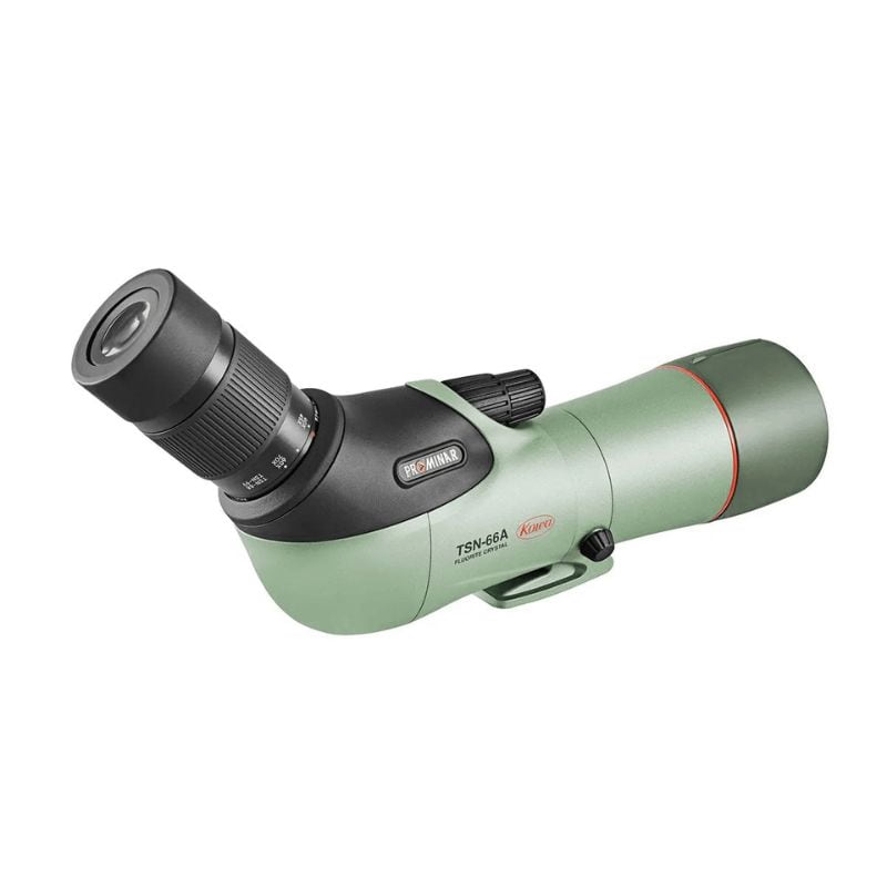 Kowa TSN-66 straight spotting scope
