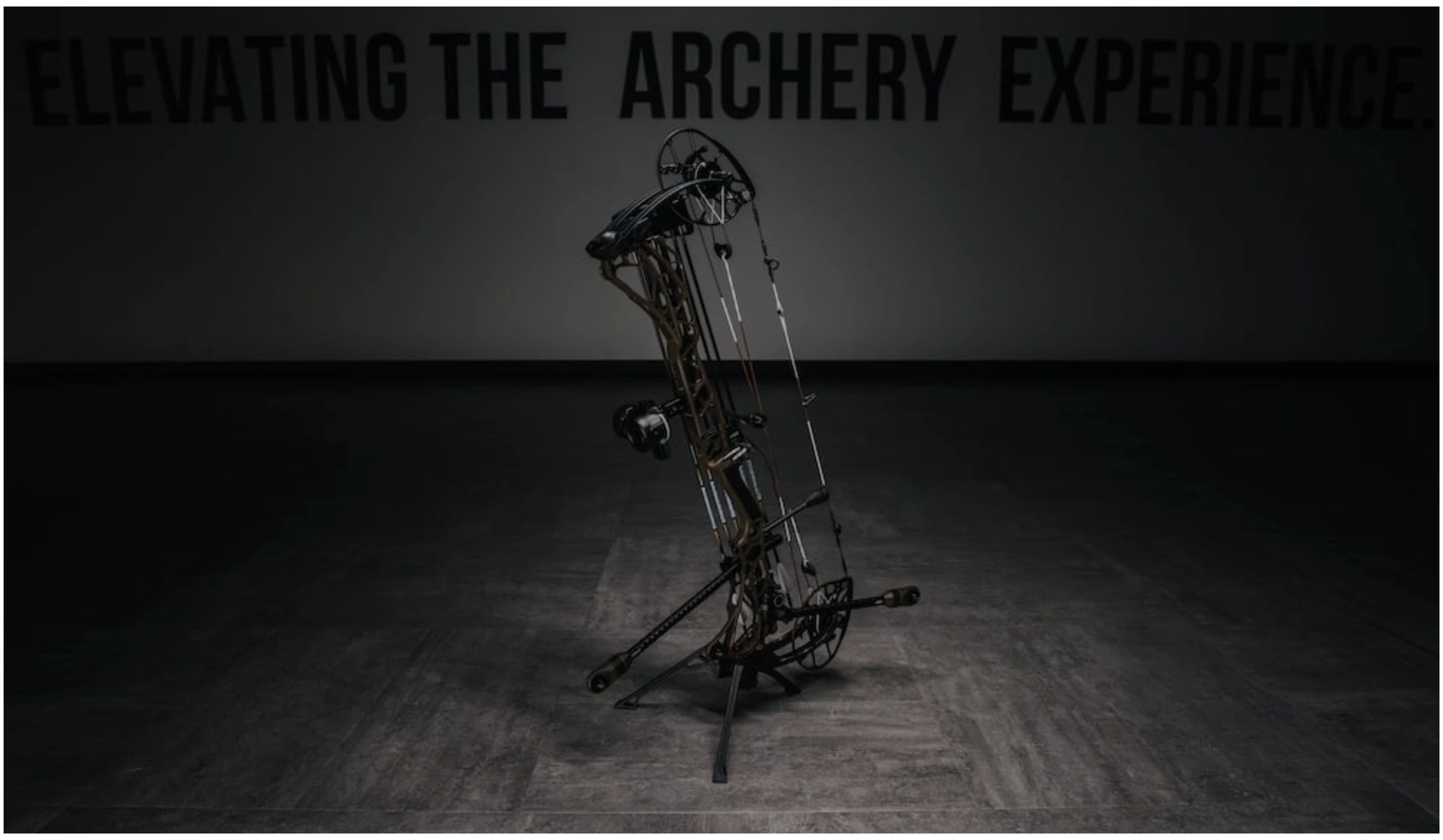 Mathews Arc 30 compound bow Archery