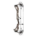 Mathews Arc 30 compound bow Earth