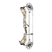Mathews Arc 30 compound bow_FirstLite