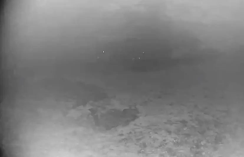 Night Vision Footage blurred by Fog