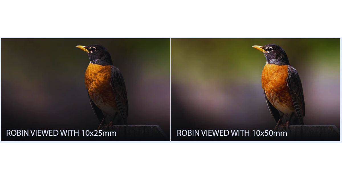 Objective lens comparison