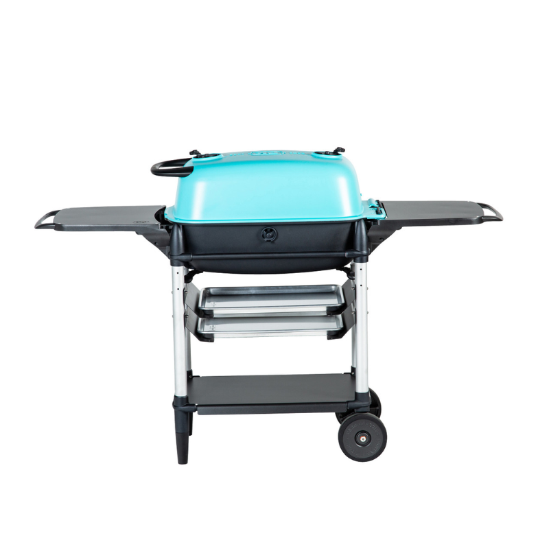 PK300AF Grill and Smoker Teal Rear View