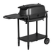 PK Grills PK300 Grill & Smoker - The New Original Rear Right View