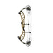 PSE Decree EC2 Compound Bow - Brown Riser Green Limbs / Left Hand / 50-60lbs - Compound Bow