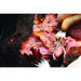 Primo Oval Junior Charcoal All-In-One Grill - BBQ Grill