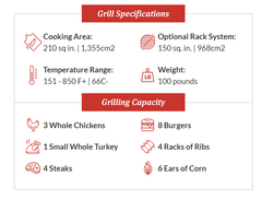 Primo Oval Junior Charcoal All-In-One Grill