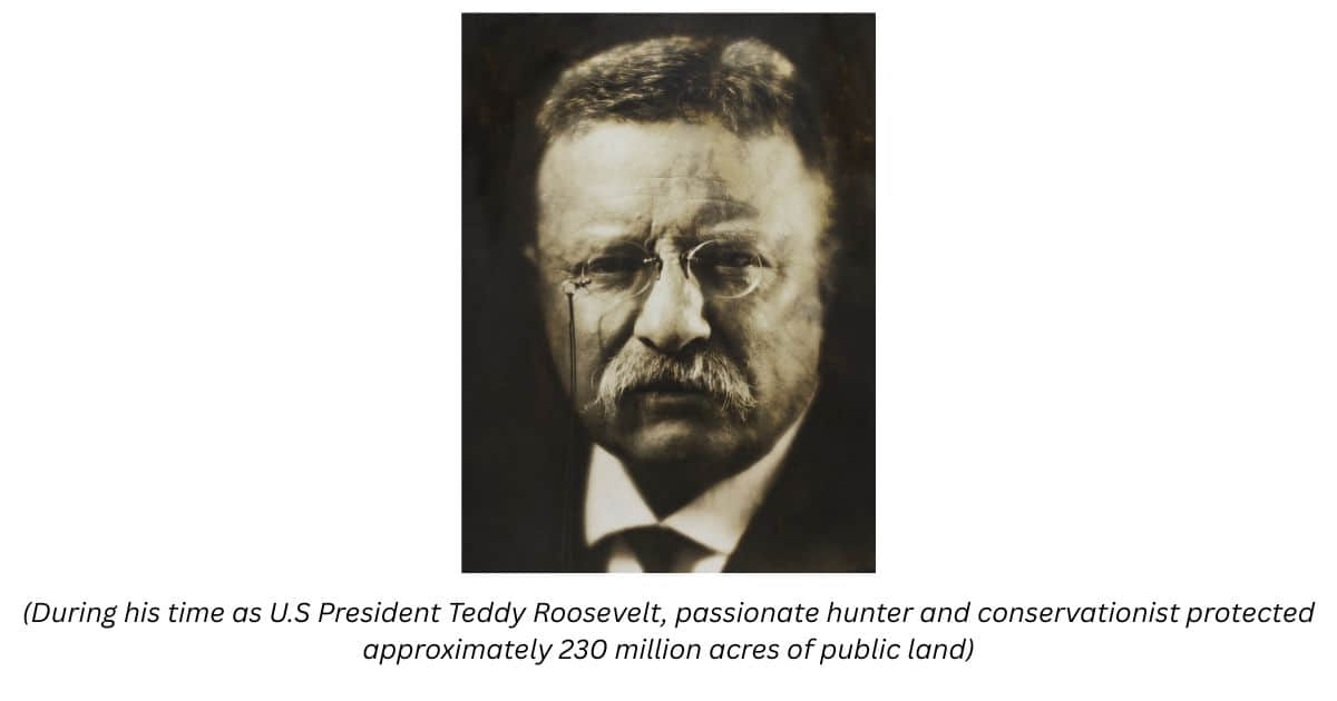 Theodore Roosevelt holding a Rifle