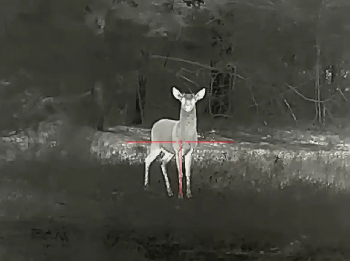 Thermal Image of Deer in Field