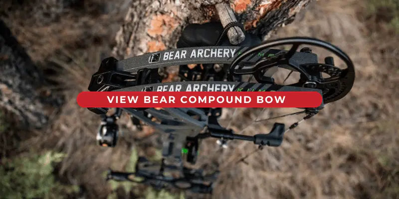 View Bear Bow 