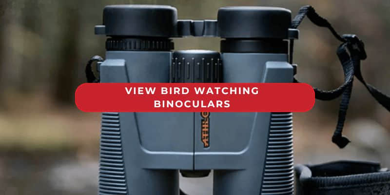 View Bird Watching Binoculars