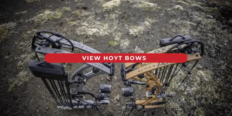 View Hoyt Bows