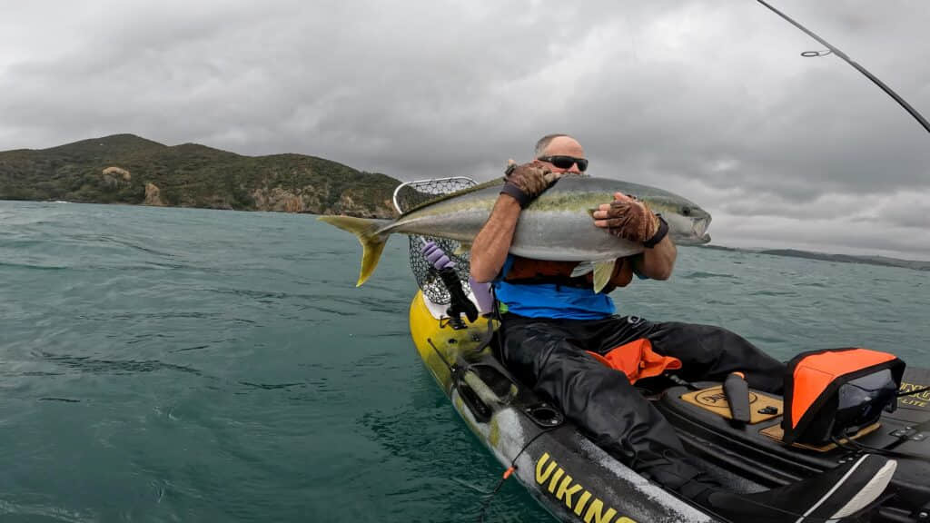 Viking Profish 400 Catching Kingfish